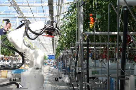 El futuro del sector agrícola está en la robotización de sus cultivos